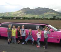 Pink Limo For 8th Birthday